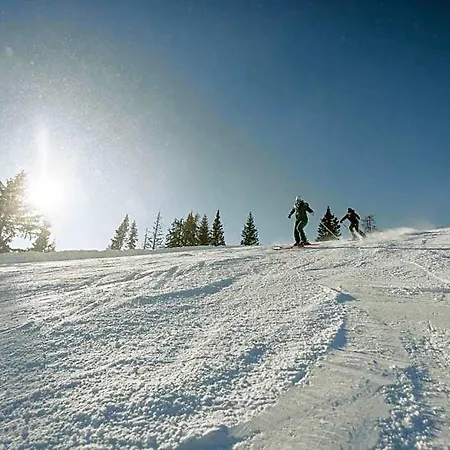 Waldfrieden 4* Ramsau am Dachstein