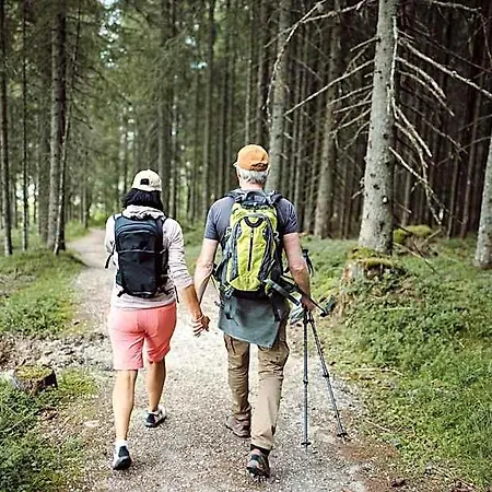 Hotel Waldfrieden Ramsau am Dachstein